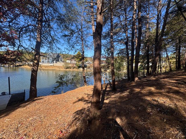 Lot 6 Isle Of Pines DR, Moneta, VA 24121