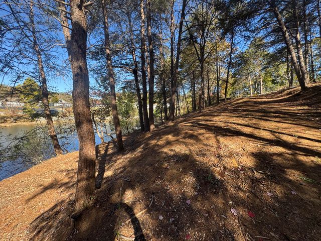 Lot 6 Isle Of Pines DR, Moneta, VA 24121