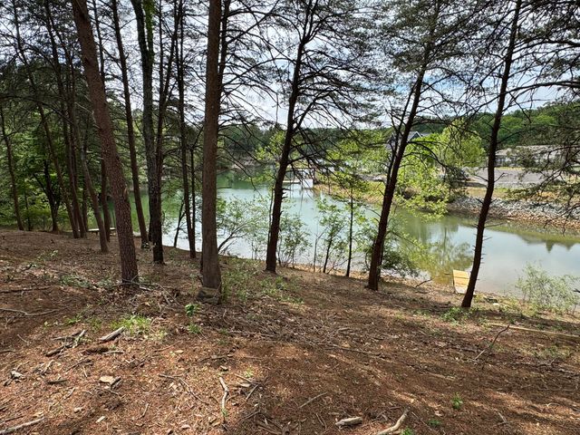 Lot 6 Isle Of Pines DR, Moneta, VA 24121