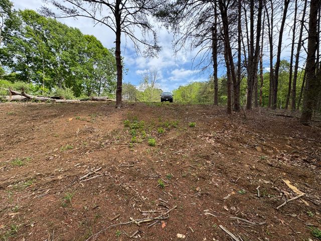 Lot 6 Isle Of Pines DR, Moneta, VA 24121