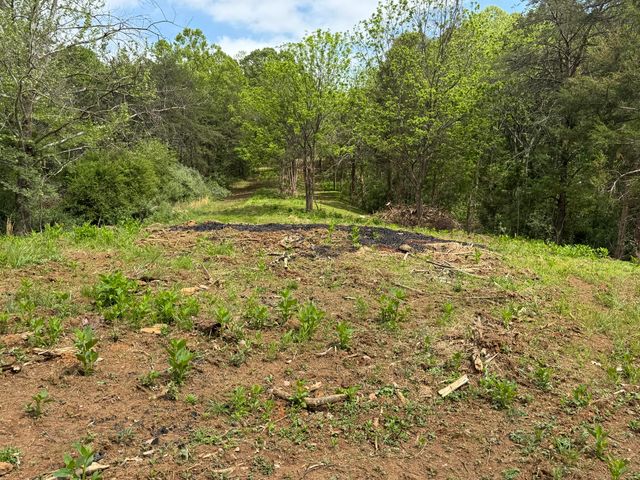 Lot 6 Isle Of Pines DR, Moneta, VA 24121