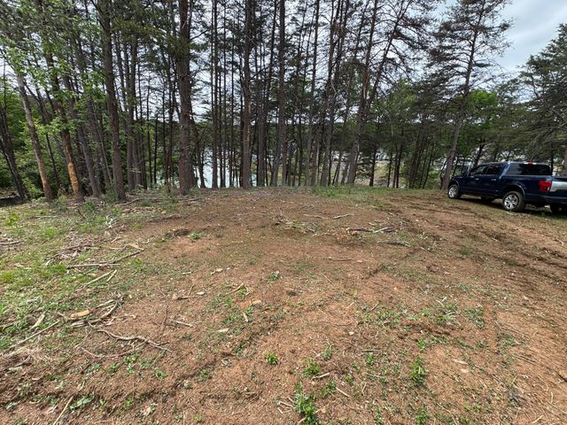 Lot 6 Isle Of Pines DR, Moneta, VA 24121