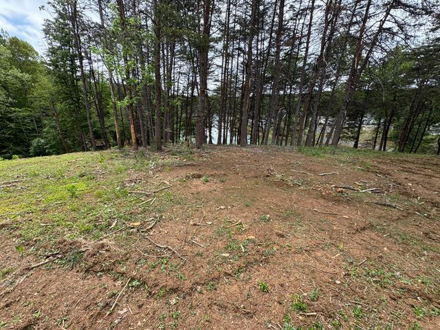 Lot 6 Isle Of Pines DR, Moneta, VA 24121