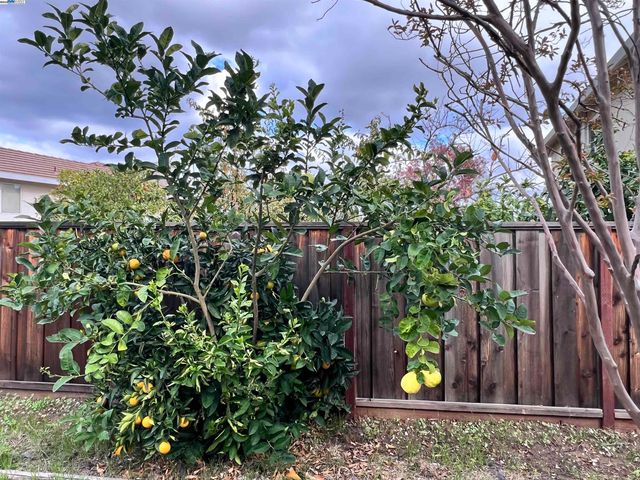 1824 Harding Ct, Antioch, CA 94509