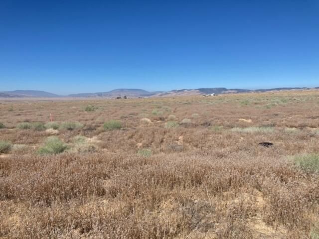 265th W Near Patterson Rd, Rosamond, CA 93560