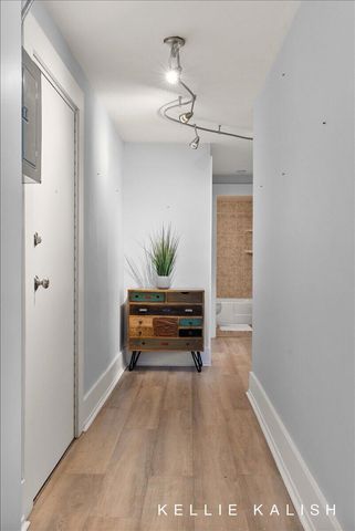 505 Cherry Street SE 217, Grand Rapids, MI 49503