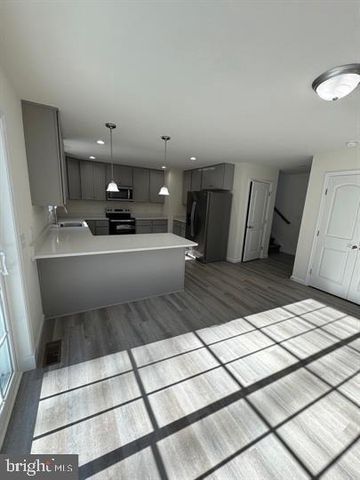 144 PRATTS BRANCH RD, Felton, DE 19943