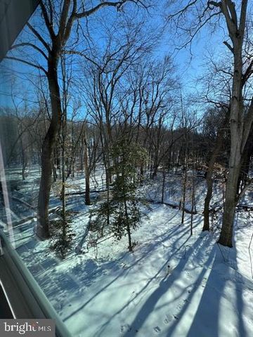 144 PRATTS BRANCH RD, Felton, DE 19943