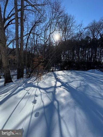 144 PRATTS BRANCH RD, Felton, DE 19943