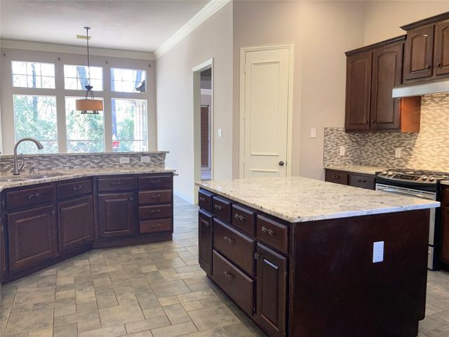 6207 Orchard Canyon Court, Houston, TX 77345