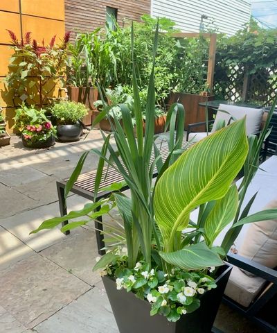 2334 W Medill Avenue, Chicago, IL 60647