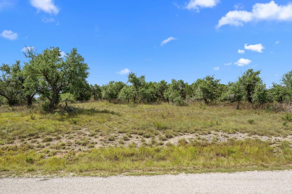 32000 Mirela Ann RD, Dripping Springs, TX 78620