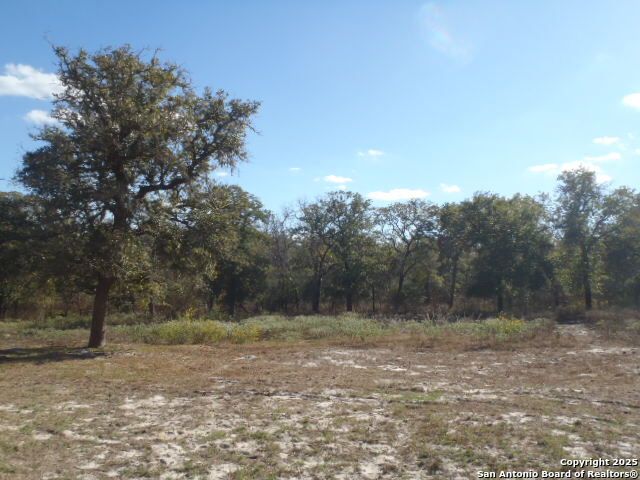 2189 Hickory Forrest Dr, Seguin, TX 78155