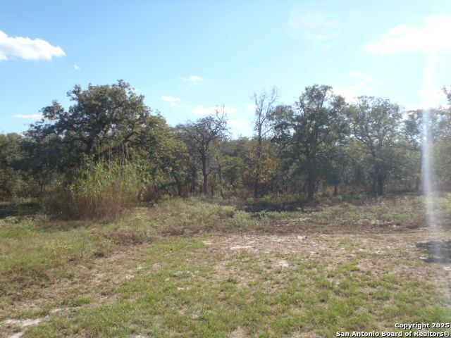 2189 Hickory Forrest Dr, Seguin, TX 78155