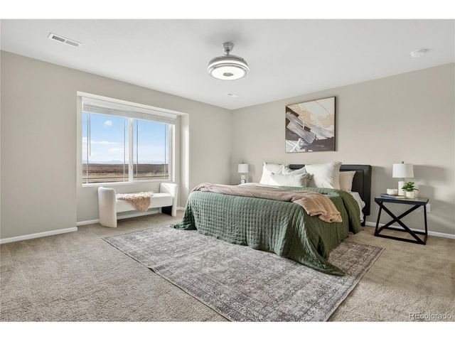 9203 Pitkin St, Commerce City, CO 80022