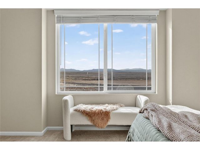 9203 Pitkin St, Commerce City, CO 80022