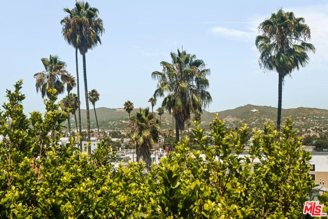 564 N Normandie Avenue, Los Angeles, CA 90004