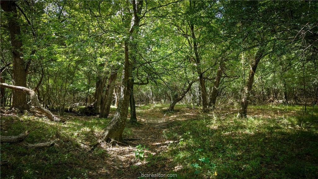 Tract 2 Mensik Rd., Bryan, TX 77808 — photo 3