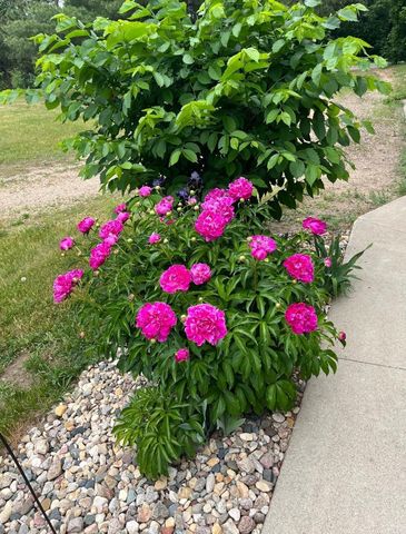 27388 County Road 34, Paynesville, MN 56362