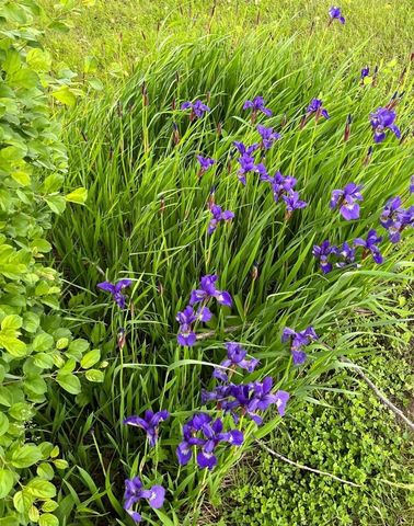 27388 County Road 34, Paynesville, MN 56362