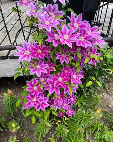 27388 County Road 34, Paynesville, MN 56362