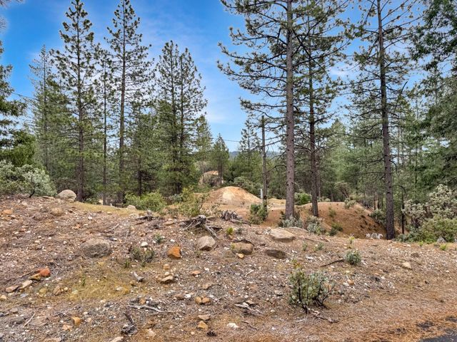12957 Sailor Flat Rd, Nevada City, CA 95959