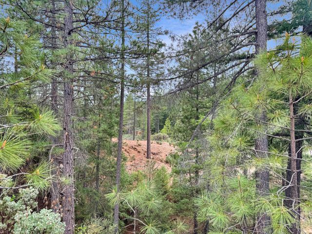 12957 Sailor Flat Rd, Nevada City, CA 95959