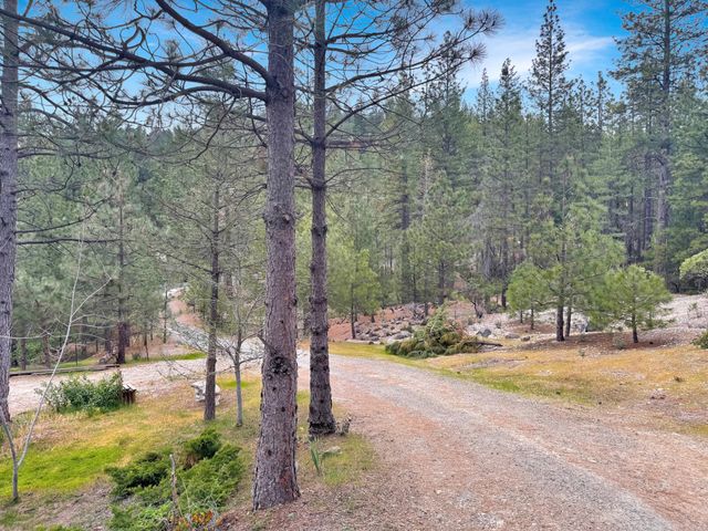 12957 Sailor Flat Rd, Nevada City, CA 95959
