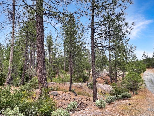12957 Sailor Flat Rd, Nevada City, CA 95959