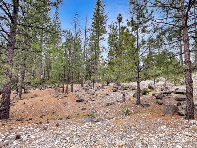 12957 Sailor Flat Rd, Nevada City, CA 95959