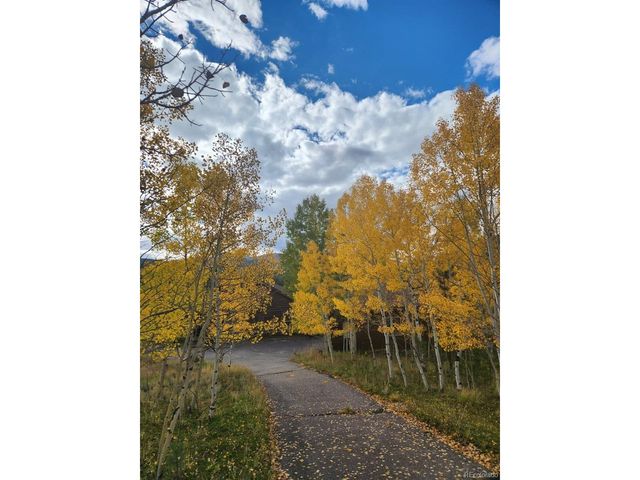 499 Clark Rd, Bailey, CO 80421