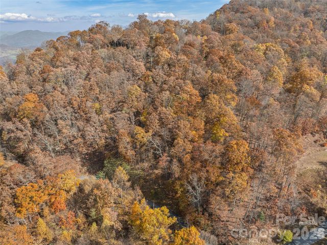 Lot 44 Weatherwatch Drive 44, Waynesville, NC 28786