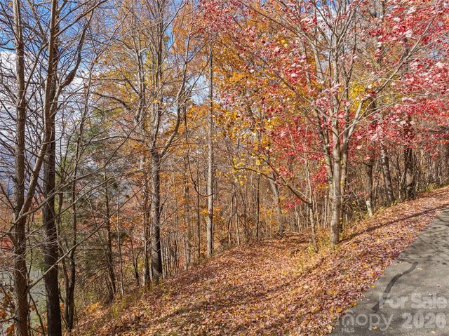 Lot 44 Weatherwatch Drive 44, Waynesville, NC 28786