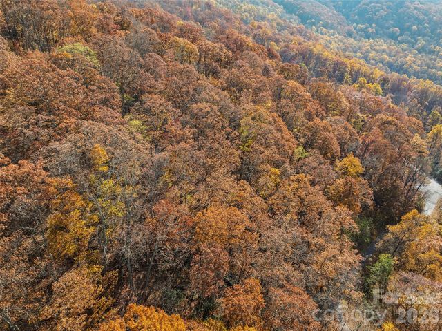 Lot 44 Weatherwatch Drive 44, Waynesville, NC 28786