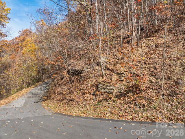 Lot 44 Weatherwatch Drive 44, Waynesville, NC 28786