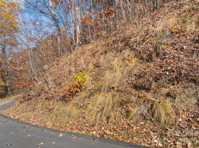 Lot 44 Weatherwatch Drive 44, Waynesville, NC 28786