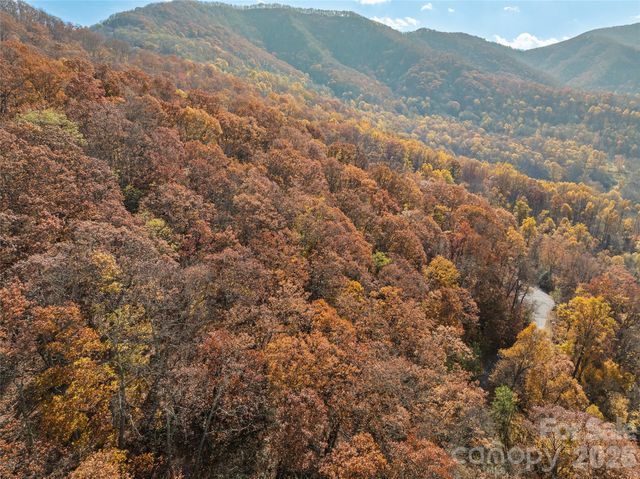 Lot 44 Weatherwatch Drive 44, Waynesville, NC 28786