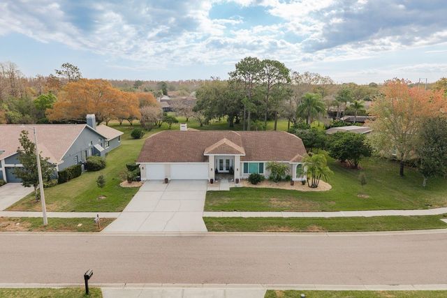 6617 THOROUGHBRED LOOP, Odessa, FL 33556