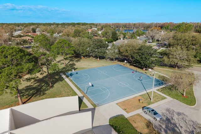 6617 THOROUGHBRED LOOP, Odessa, FL 33556