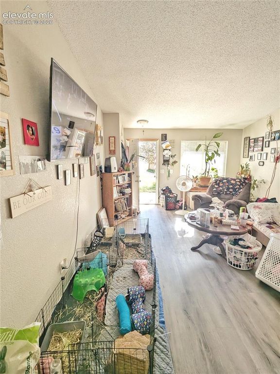 4620 Park Vista Boulevard, Colorado Springs, CO 80918 — photo 2