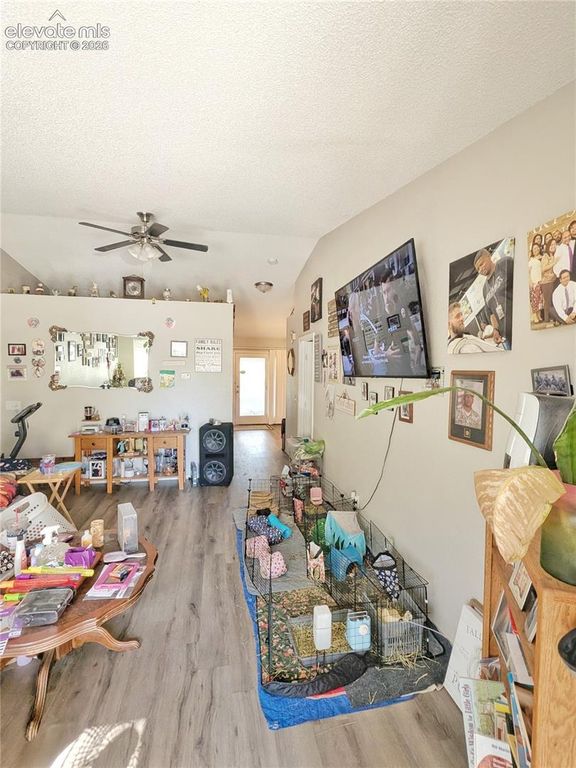 4620 Park Vista Boulevard, Colorado Springs, CO 80918 — photo 3