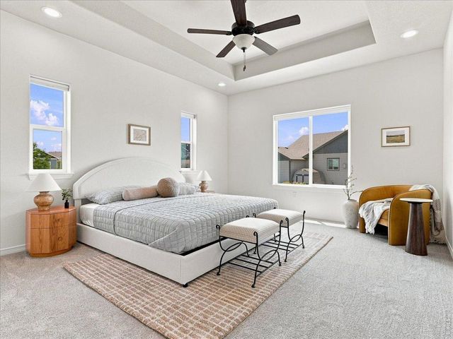 1381 Larimer Ridge Pkwy, Timnath, CO 80547