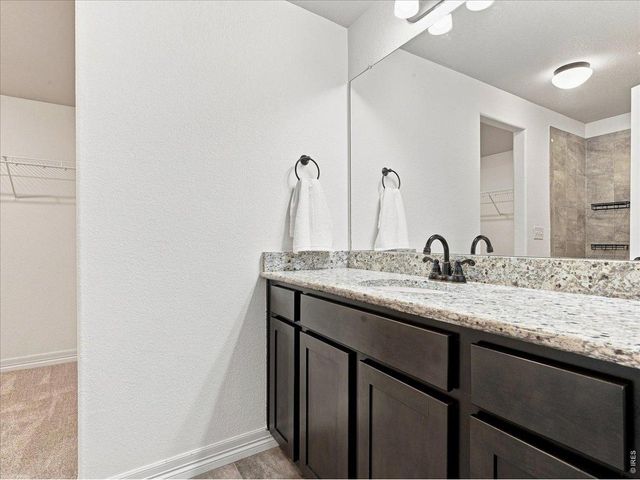 1381 Larimer Ridge Pkwy, Timnath, CO 80547