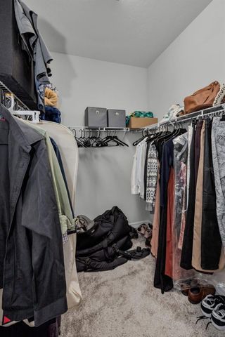 12386 CRIOLLO ROAD, Spring Hill, FL 34610