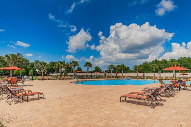 12386 CRIOLLO ROAD, Spring Hill, FL 34610