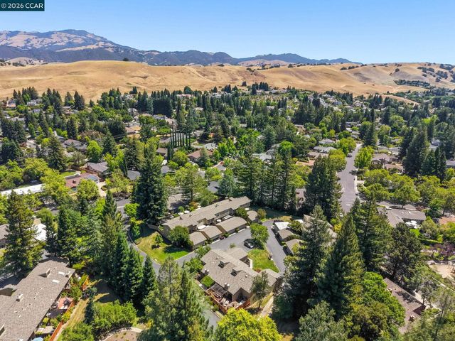 441 Sycamore Hill Dr, Danville, CA 94526