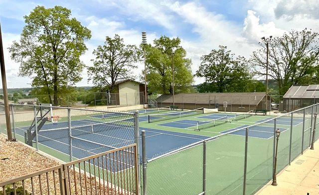 180 Lake Club Drive 19, Branson, MO 65616