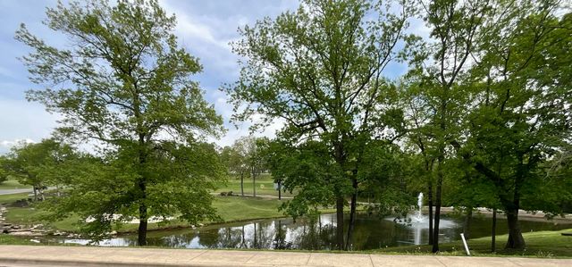 180 Lake Club Drive 19, Branson, MO 65616