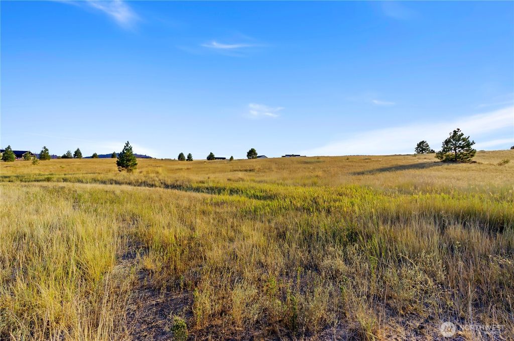 0 Horseshoe Lane, Cle Elum, WA 98922
