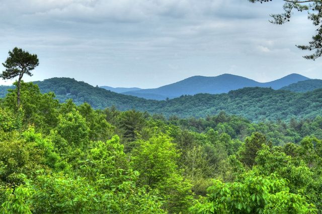 436 Geronimo Road, Blue Ridge, GA 30513